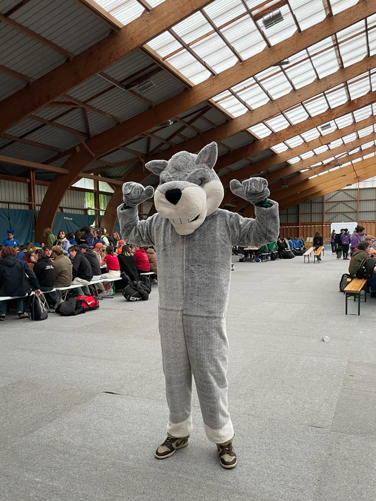 Le loup, mascotte des étudiants de Sciences Po Saint-Germain-en-Laye